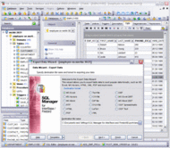 EMS SQL Manager 2005 Lite for InterBase/Firebird screenshot